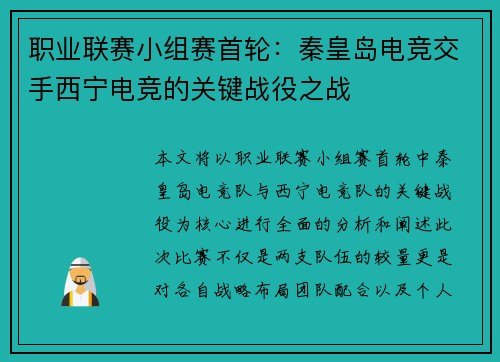 职业联赛小组赛首轮：秦皇岛电竞交手西宁电竞的关键战役之战